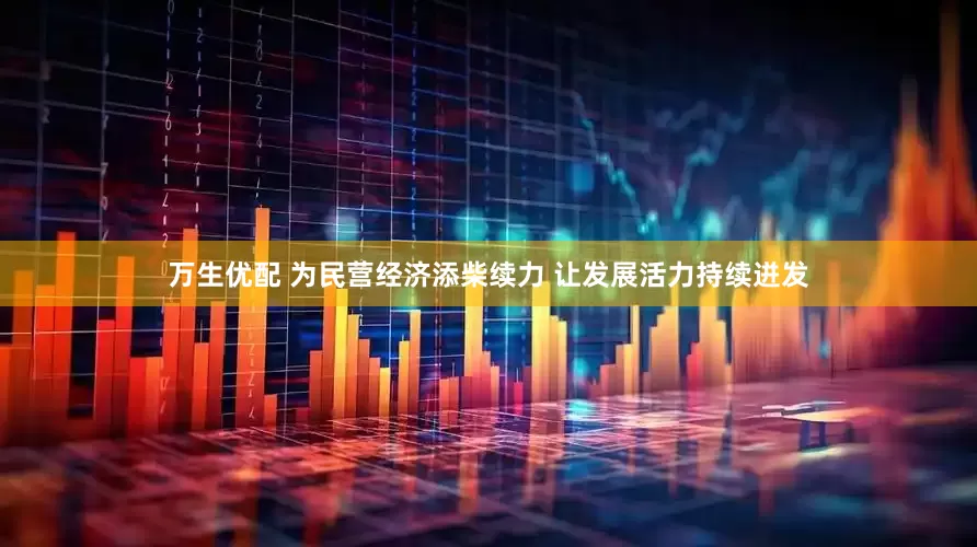 万生优配 为民营经济添柴续力 让发展活力持续迸发