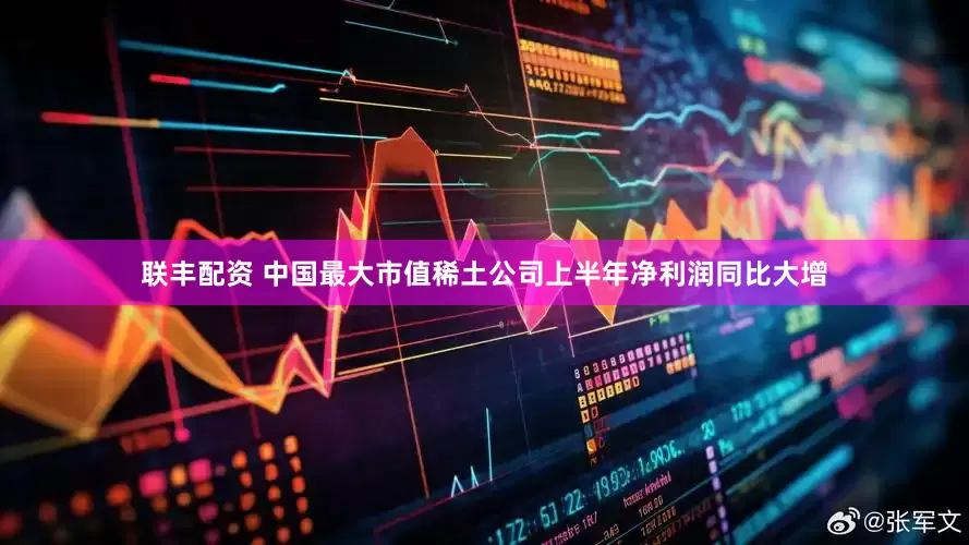 联丰配资 中国最大市值稀土公司上半年净利润同比大增