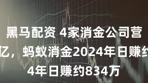 黑马配资 4家消金公司营收超百亿，蚂蚁消金2024年日赚约834万