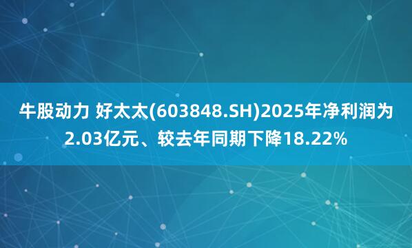 牛股动力 好太太(603848.SH)2025年净利润为2.03亿元、较去年同期下降18.22%